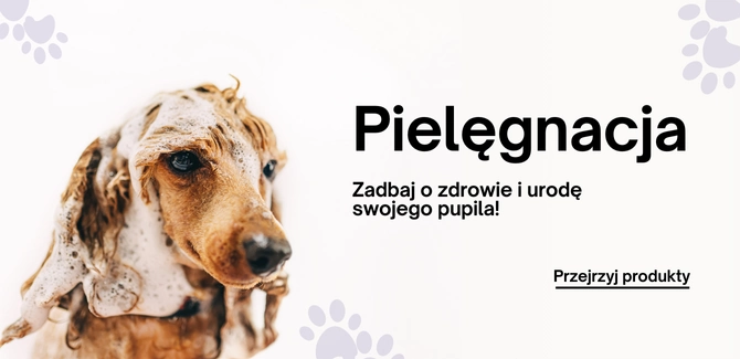 Pielęgnacja